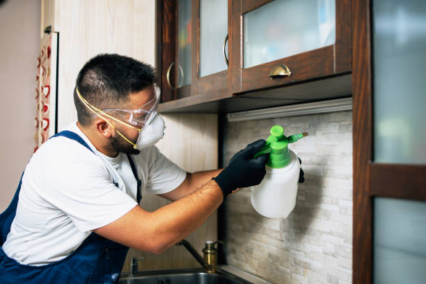 Best Wildlife Control Services  in Selma, TX