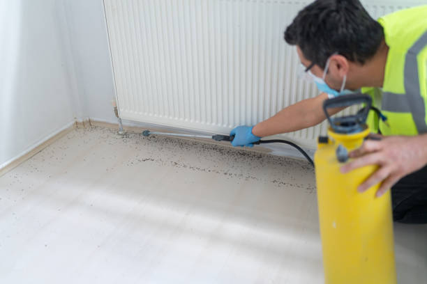 Best Pest Inspection Near Me  in Selma, TX