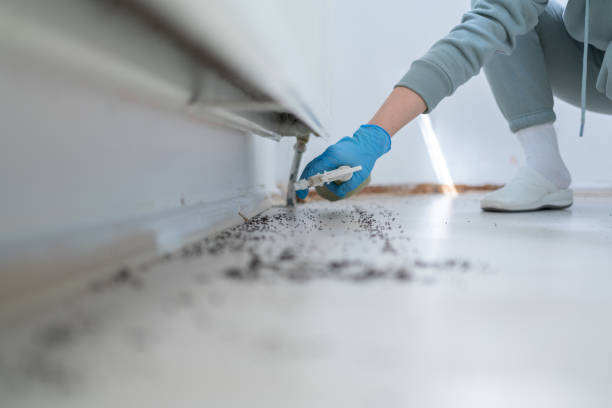 Best Pest Prevention Services  in Selma, TX